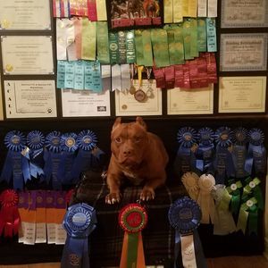 Meet your Posher, Stacey